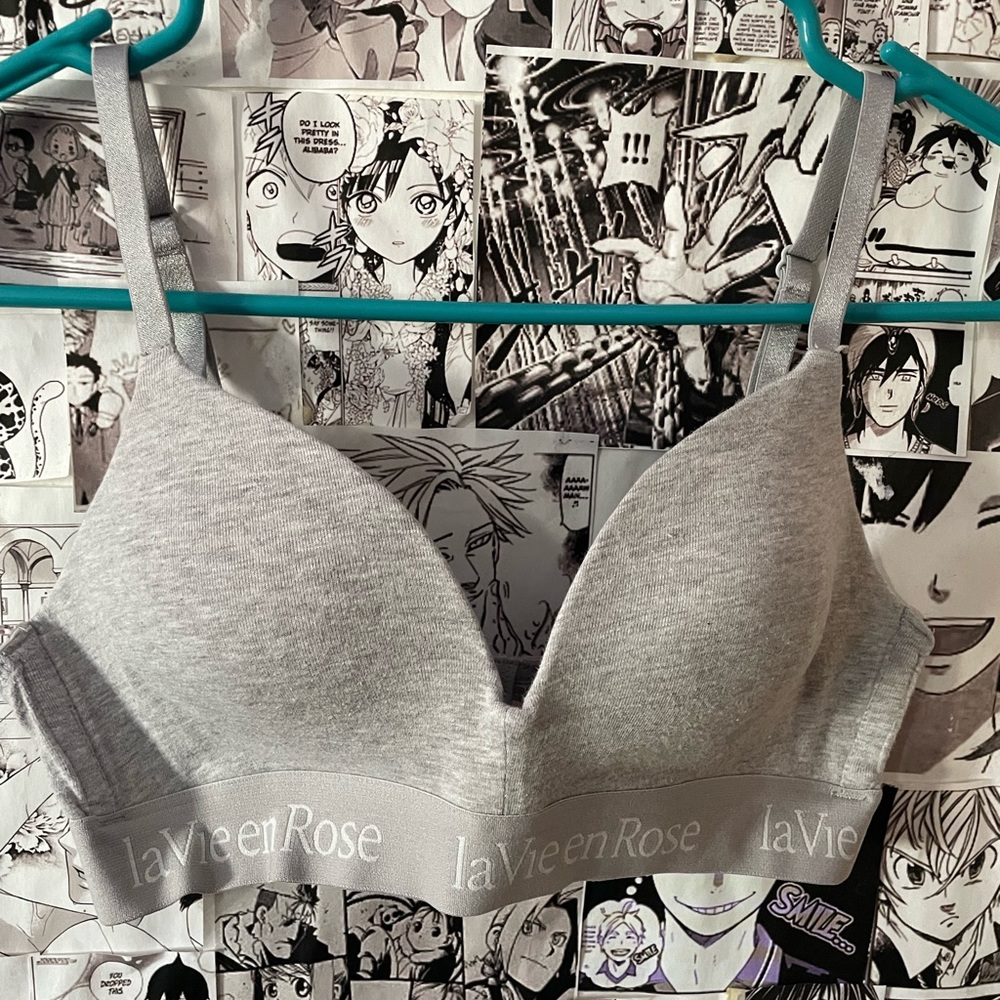 La Vie en Rose Gray Women's Bra